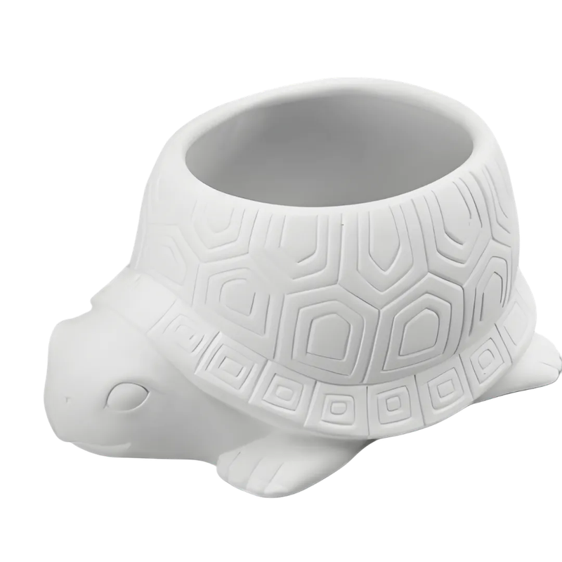 DB38560-Turtle Planter
