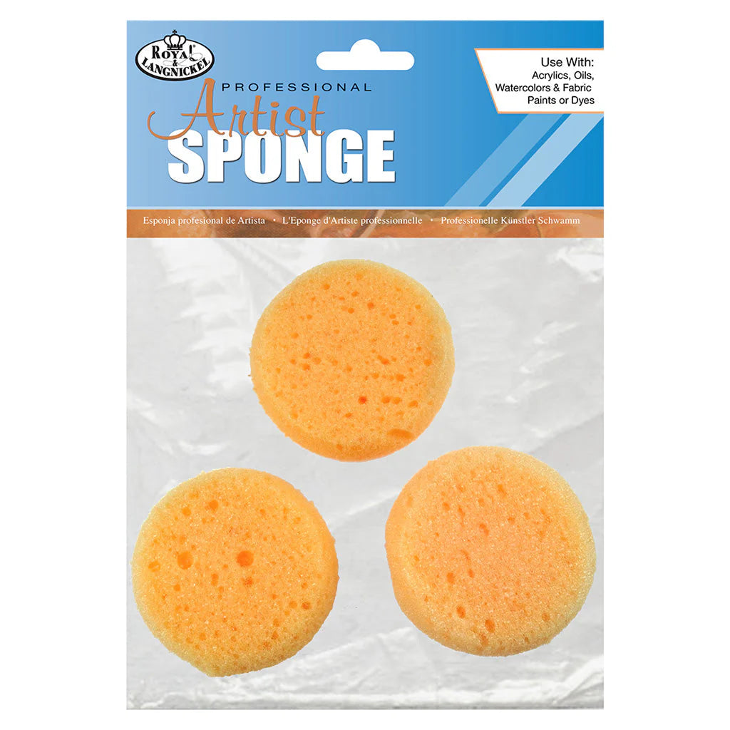 R2117 3 Pieces of Artistic Sponge set | Natural & Synthetic Sponge Pack