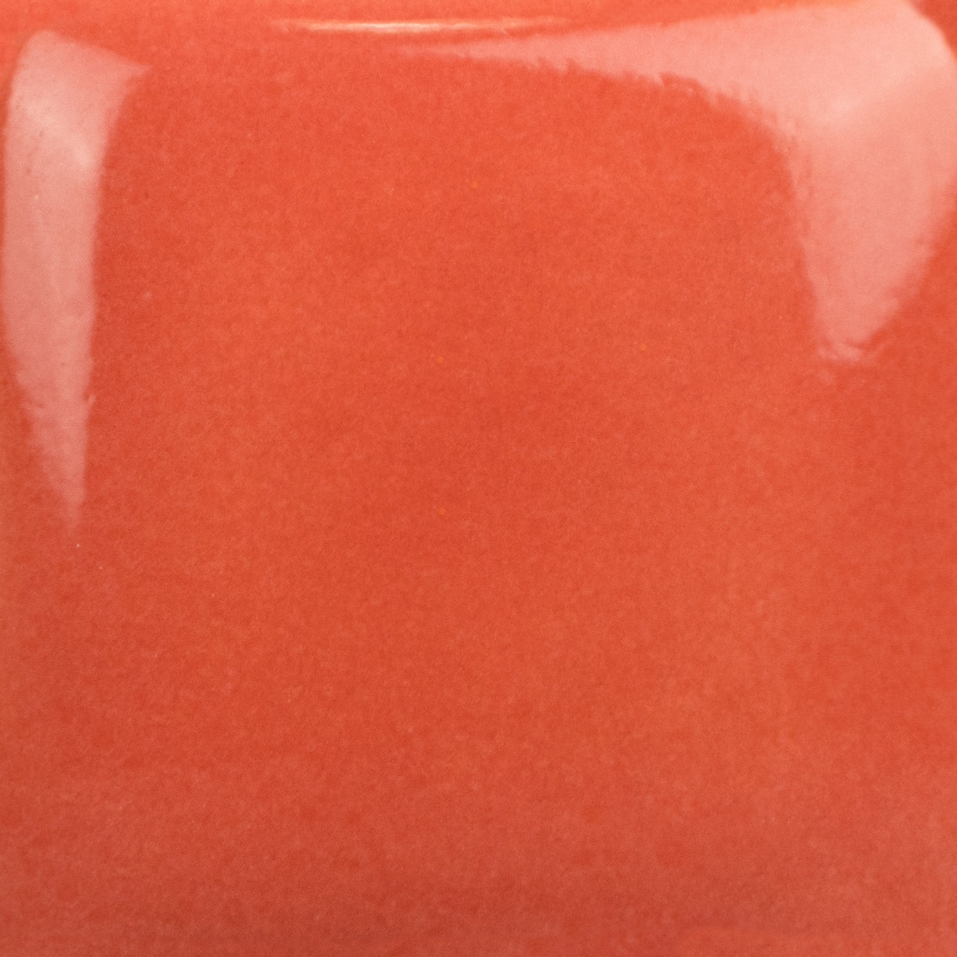 SC-089 Cutie Pie Coral