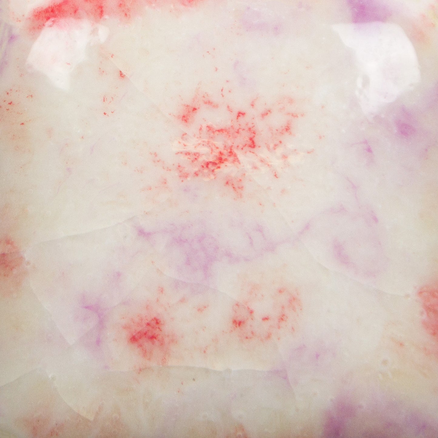 CG-1004 Berry Tart Jungle Gems
