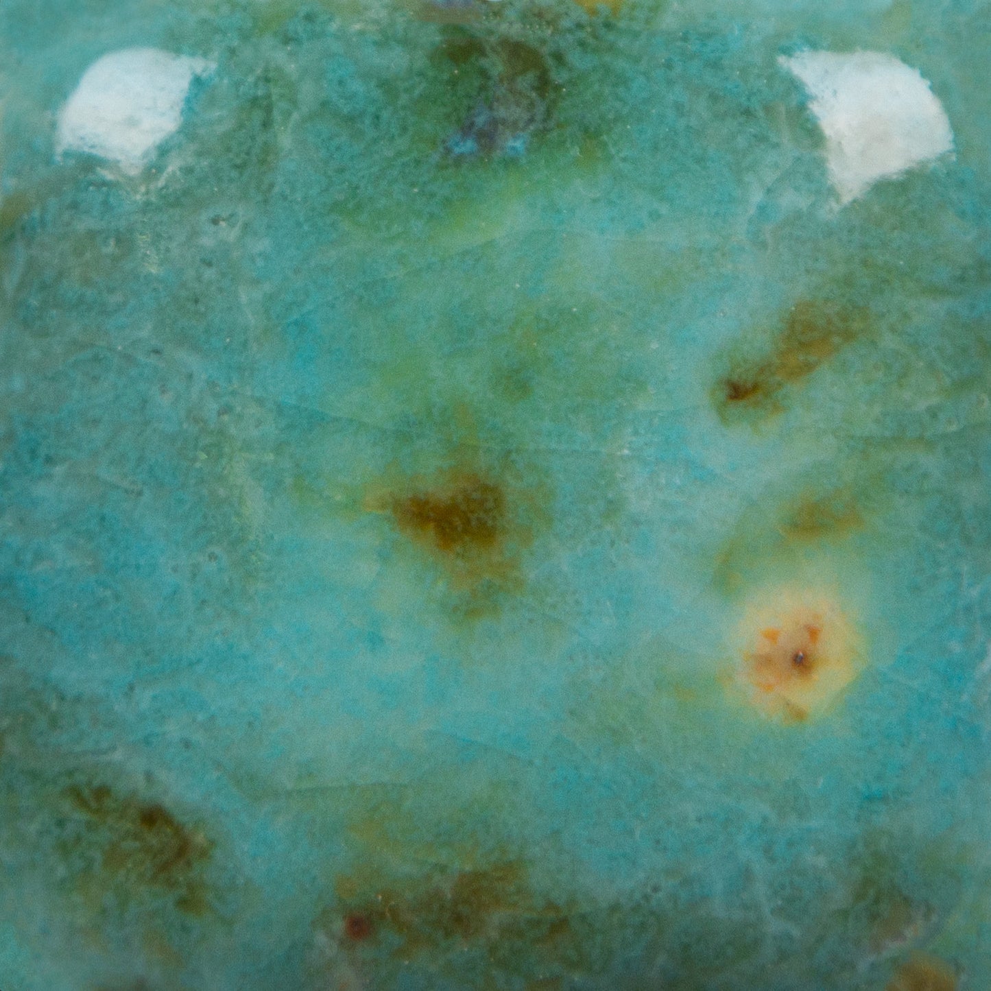 CG-1008 Blue Guppy Jungle Gems