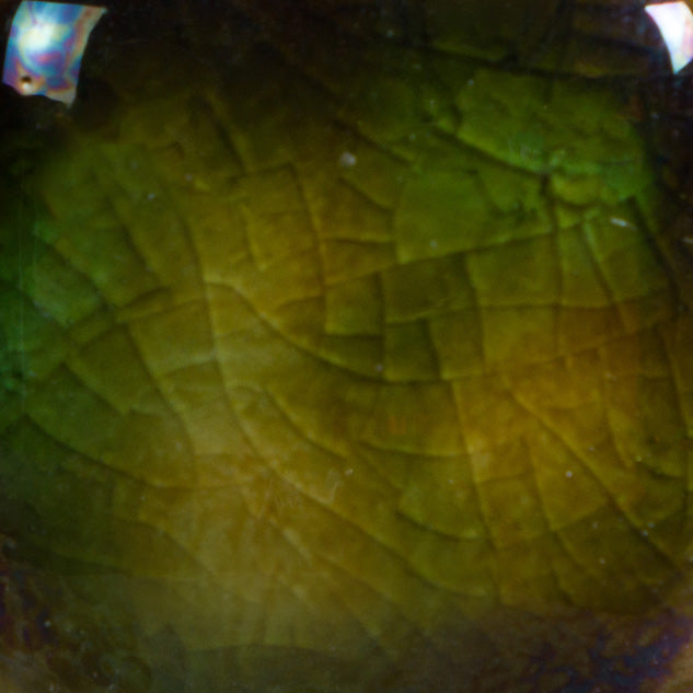 CG-707 Woodland Fantasy Jungle Gems