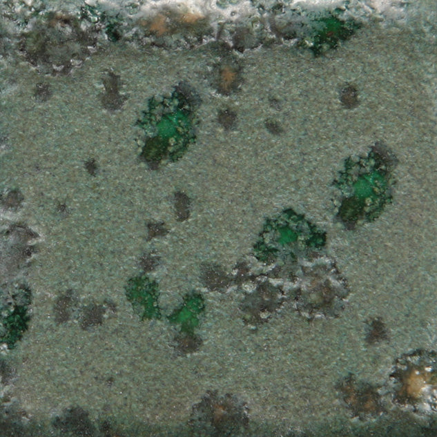 CG-973 Alligator Jungle Gems