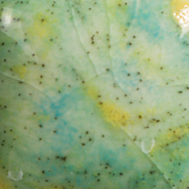 CG-979 Meadow Jungle Gems