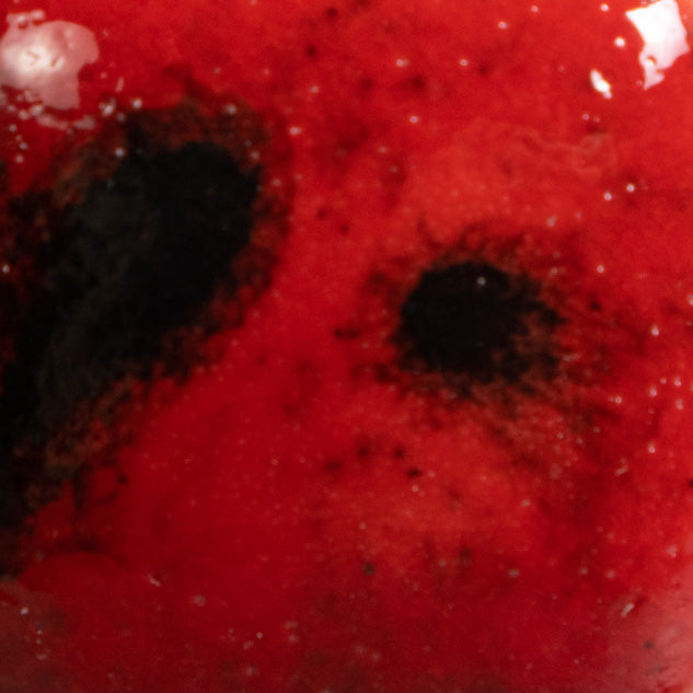 CG-984 Ladybug Jungle Gems