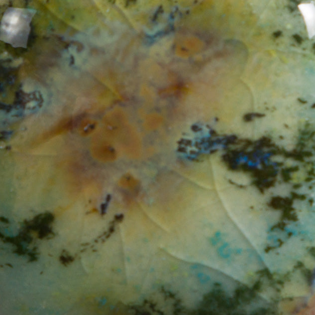 CG-991 Mountain Moss Jungle Gems