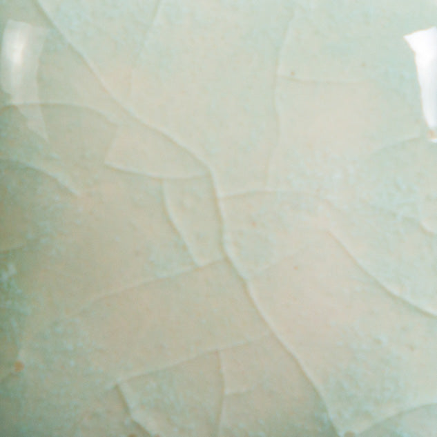 CG-997 Seafoam Jungle Gems