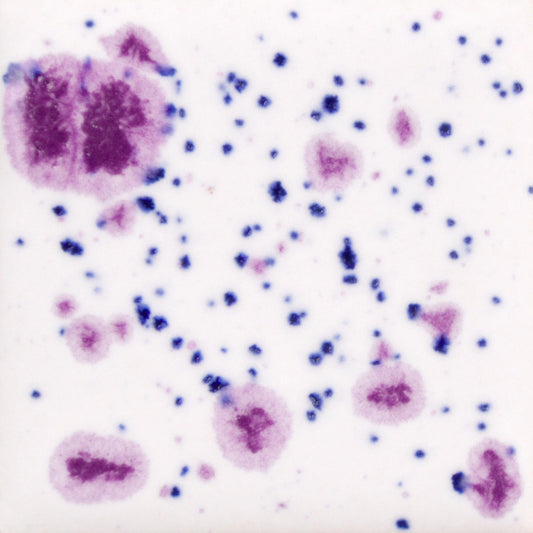 CG-1011 Frosted Berries Jungle Gems