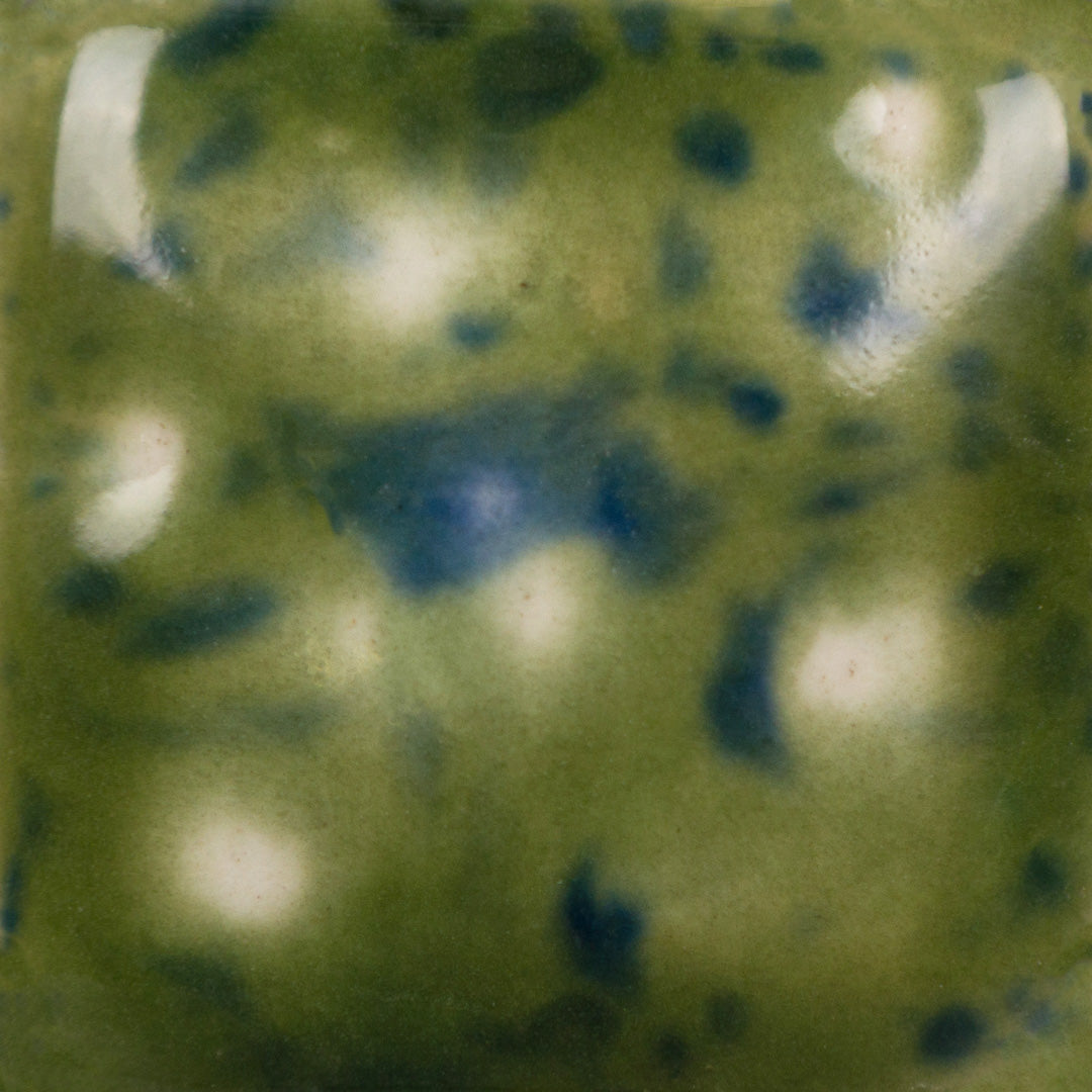 CG-1015 Cloverfield Jungle Gems