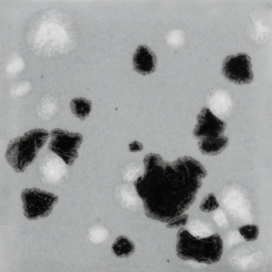 CG-1016 Asteroid Jungle Gems