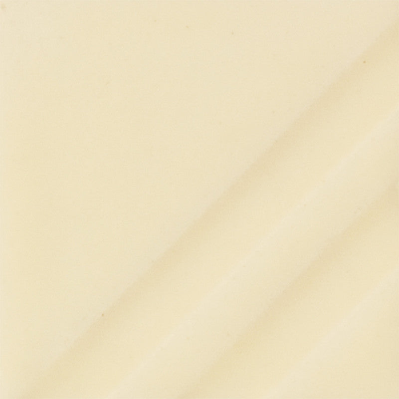 FN-201 Sheer Golden Clear