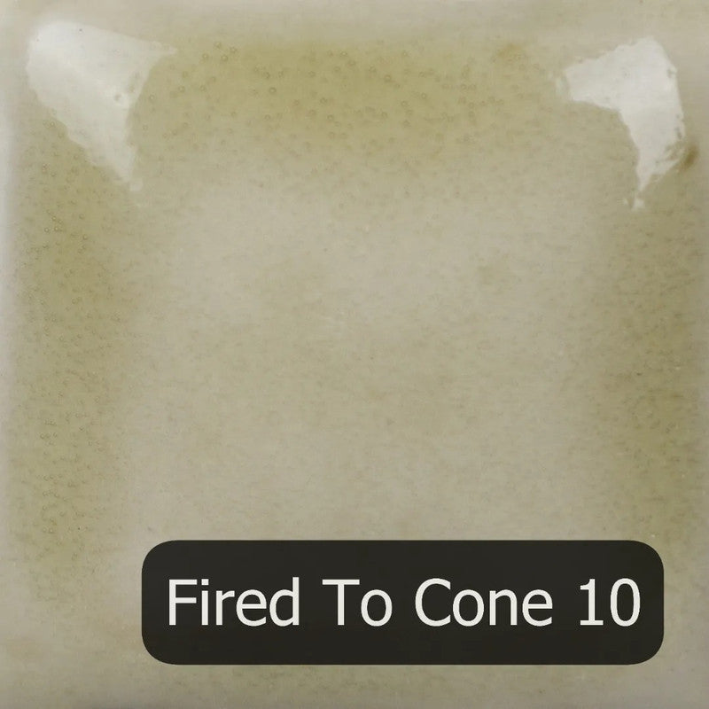 FN-204 Sheer Mudpuddle Brown