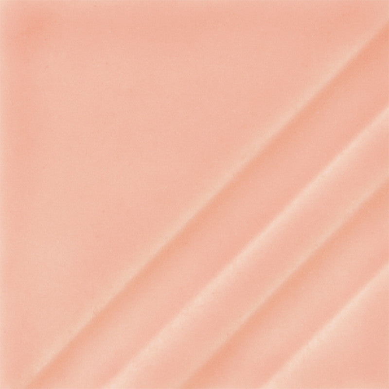 FN-209 Sheer Floral Pink