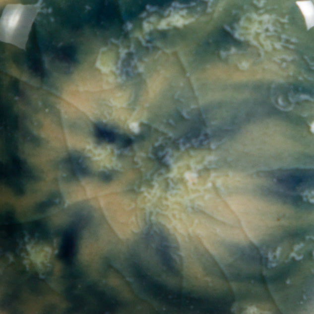 S-2718 Cosmic Black Jungle Gems