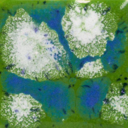 S-2715 Spotted Kiwi Jungle Gems