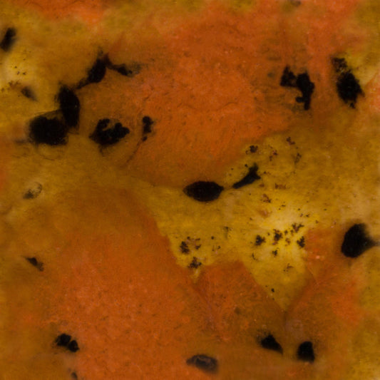 S-2725 Safari Jungle Gems