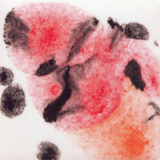 S-2727 Poppy Fields Jungle Gems