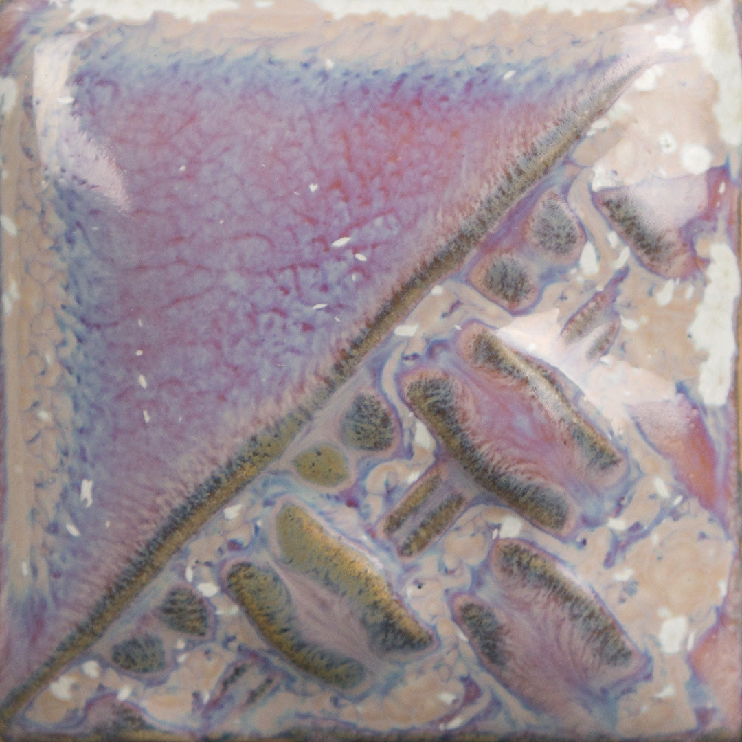 SW-196 Sand Dollar