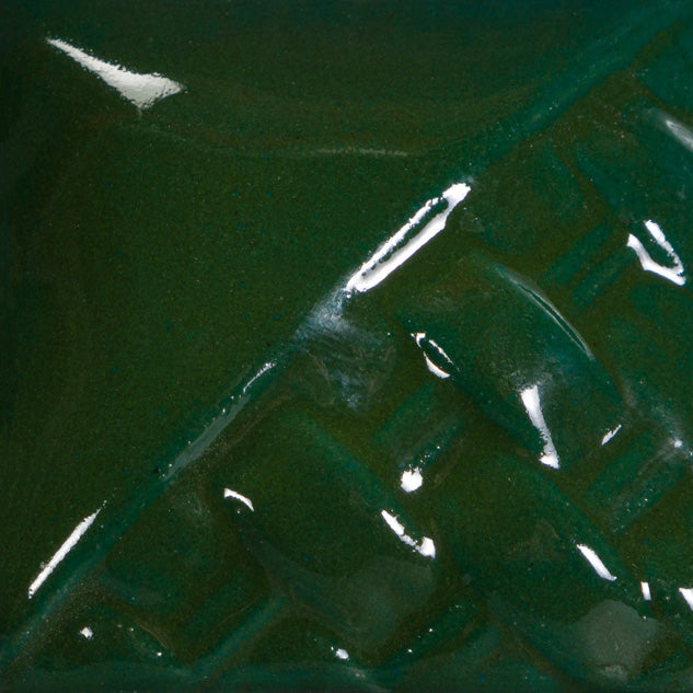 SW-509 Dark Green Gloss