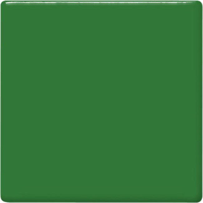 TP-41 Frog Green
