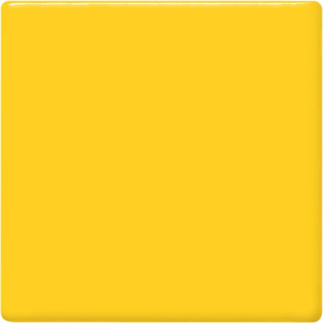 TP-62 Maize
