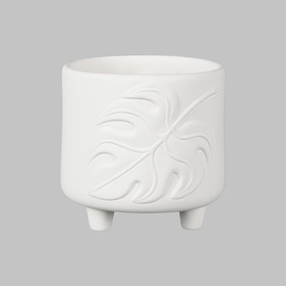 MB-1591 Monstera Footed Container
