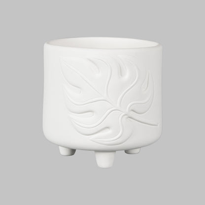 MB-1591 Monstera Footed Container