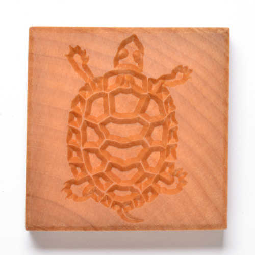 SSL-084 Turtle