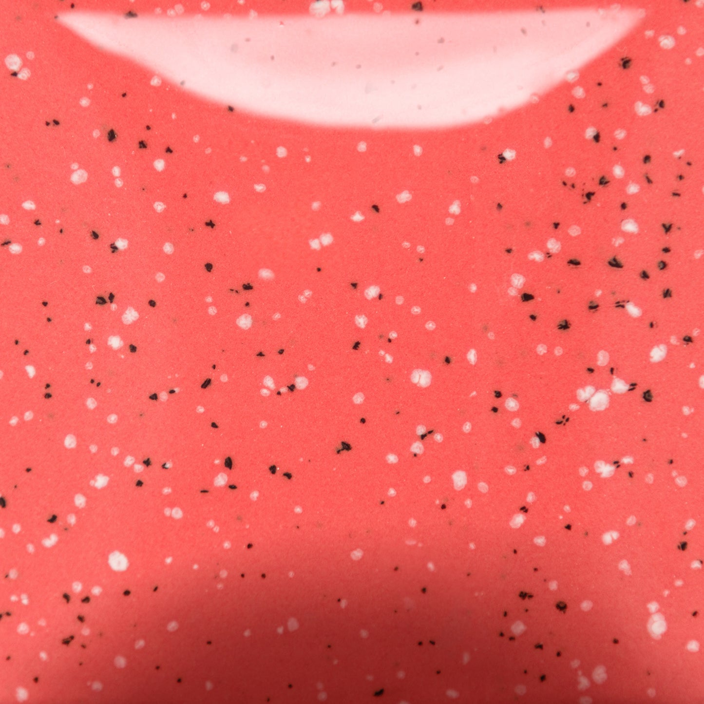 SP-289 Speckled Cutie Pie Coral