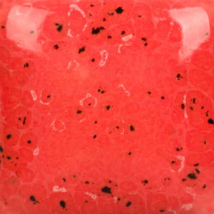 SP-289 Speckled Cutie Pie Coral