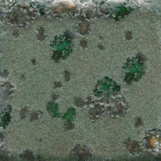 CG-973 Alligator Jungle Gems