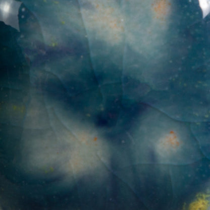CG-983 Koi Pond Jungle Gems