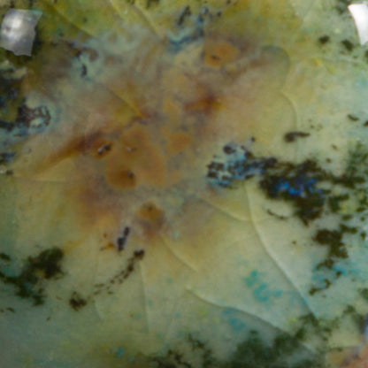 CG-991 Mountain Moss Jungle Gems