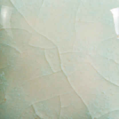 CG-997 Seafoam Jungle Gems