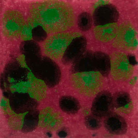 CG-1005 Maroon Lagoon Jungle Gems