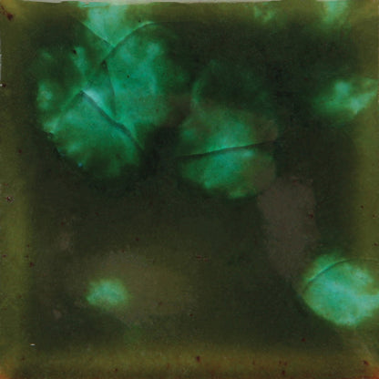CG-707 Woodland Fantasy Jungle Gems