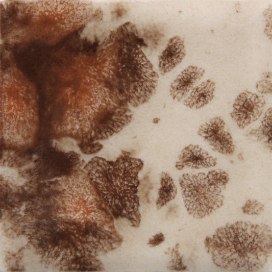 CG-795 Yadro Print Jungle Gems