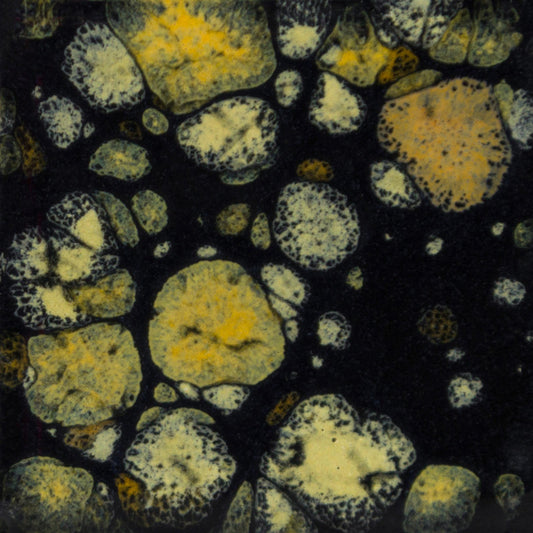 CG-798 Black Iris Jungle Gems