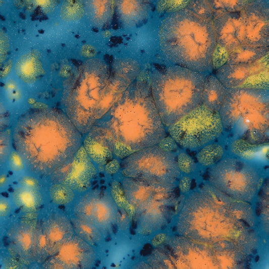 CG-983 Koi Pond Jungle Gems
