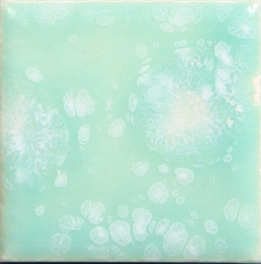 CG-997 Seafoam Jungle Gems