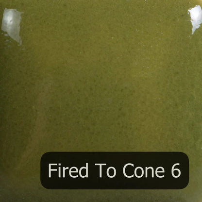 FN-021 Olive Green