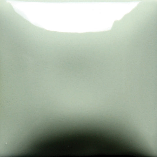 FN-046 Sage