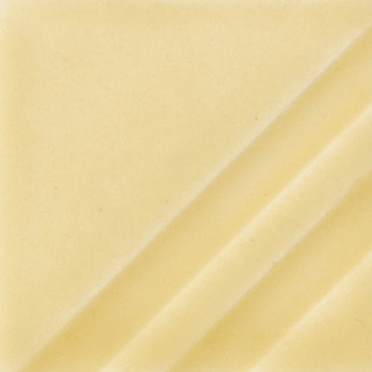 FN-203 Sheer Dry Champaigne