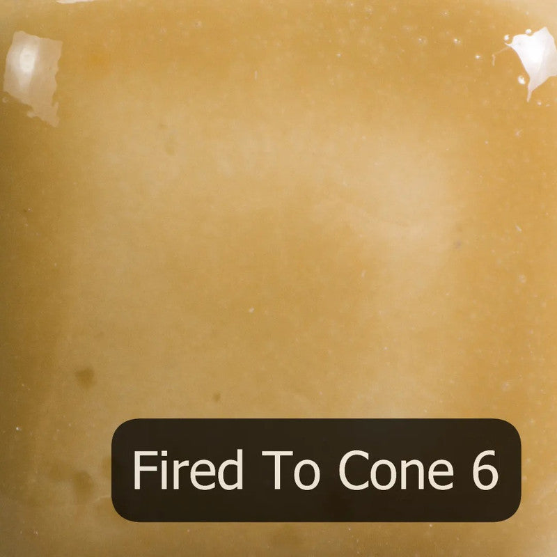 FN-205 Sheer Saddle Tan