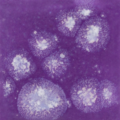 S-2723 Grape Divine Jungle Gems