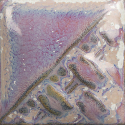SW-196 Sand Dollar