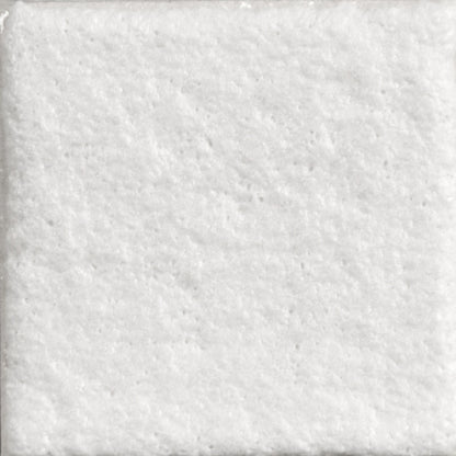 SG-302 Snowfall