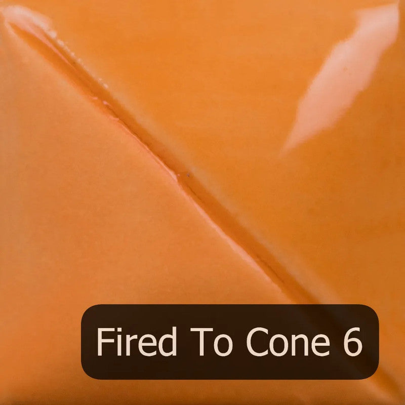 Cone 6